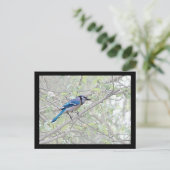 Blue Jay Songbird Briefkaart (Staand voorkant)