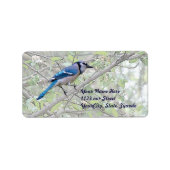 Blue Jay Songbird Etiket (Voorkant)
