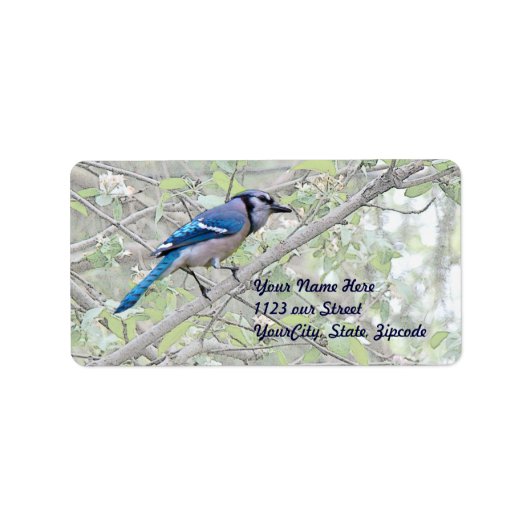 Blue Jay Songbird Etiket (Voorkant)