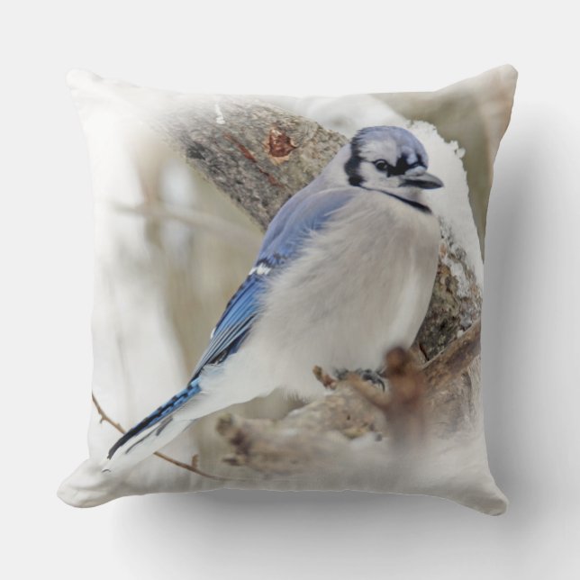 Blue Jay Songbird in Snow Kussen (Voorkant)