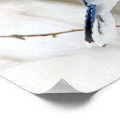 Blue Jay Songbird in Snow Poster (Hoek)