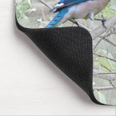 Blue Jay Songbird Muismat (Hoek)