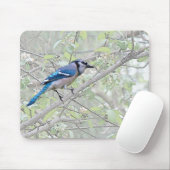 Blue Jay Songbird Muismat (Met muis)