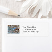 Blue Jay Songbird Series Etiket (Insitu)
