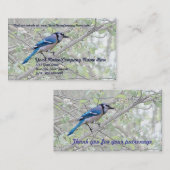 Blue Jay Songbird Visitekaartje (Voorkant / Achterkant)