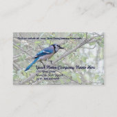 Blue Jay Songbird Visitekaartje (Voorkant)