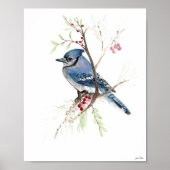 Blue Jay Songbird Waterverf Art Print (Voorkant)