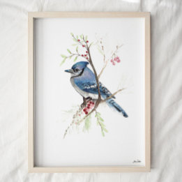 Blue Jay Songbird Waterverf Art Print