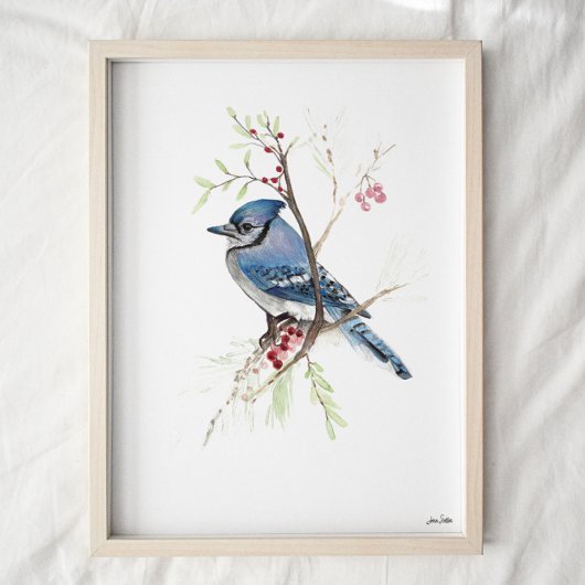 Blue Jay Songbird Waterverf Art Print