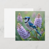 Blue Jay Staande op Lila Branches (Voorkant / Achterkant)