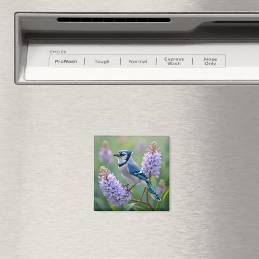  Blue Jay Staande op Lila Branches Magneet (Insitu (Vaatwasser))