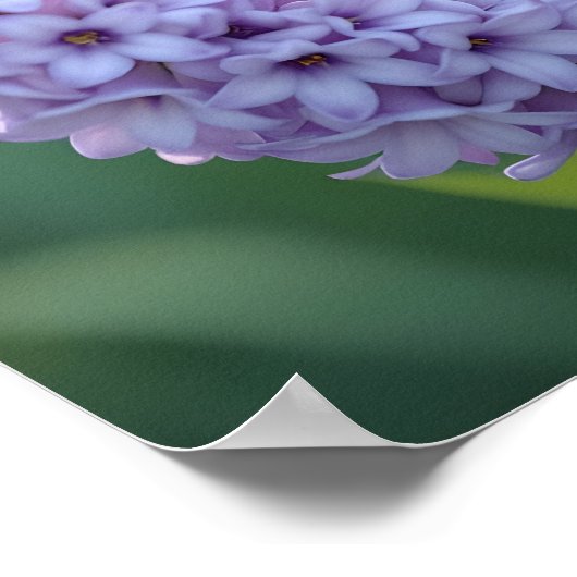 Blue Jay Staande op Lila Branches Poster (Hoek)