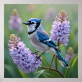 Blue Jay Staande op Lila Branches Poster (Voorkant)