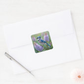 Blue Jay Staande op Lila Branches Vierkante Sticker (Envelop)