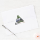 Blue Jay Sticker (Envelop)