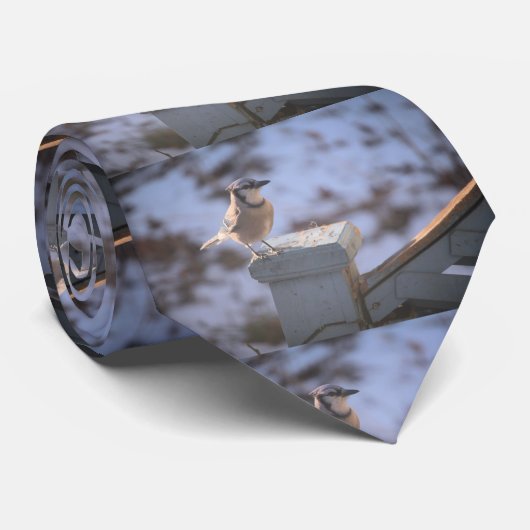 Blue Jay Stropdas (Opgerold)