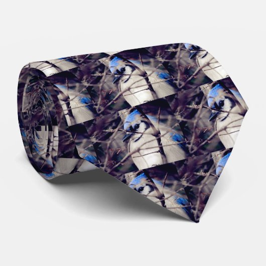 Blue Jay Stropdas (Opgerold)