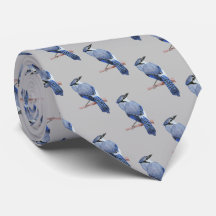 Blue Jay