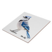 Blue Jay Tegeltje (Zijkant)