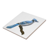 Blue Jay Tegeltje (Zijkant)