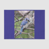 Blue Jay Tissue Paper Tissuepapier (Voorkant)