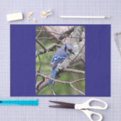 Blue Jay Tissue Paper Tissuepapier (Craft)