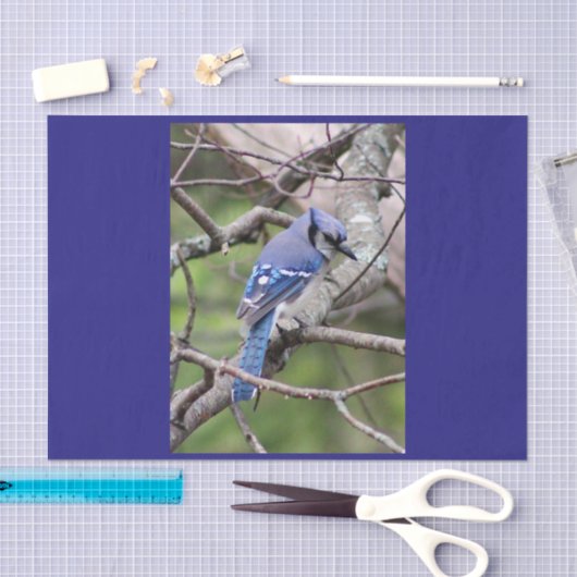 Blue Jay Tissue Paper Tissuepapier (Craft)