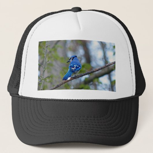 Blue Jay Trucker Pet (Voorkant)