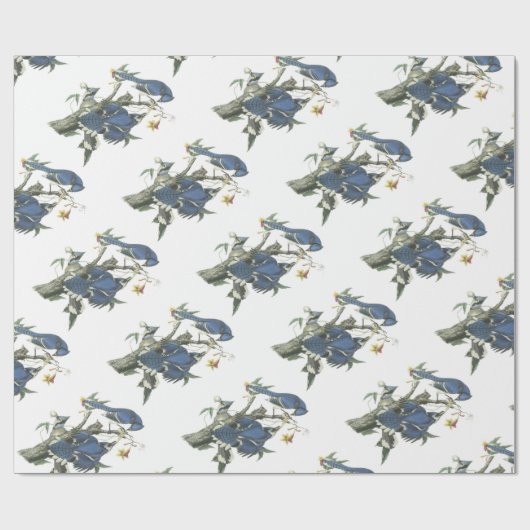Blue Jay van Audubon Cadeaupapier (Vlak)