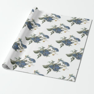 Blue Jay van Audubon Cadeaupapier