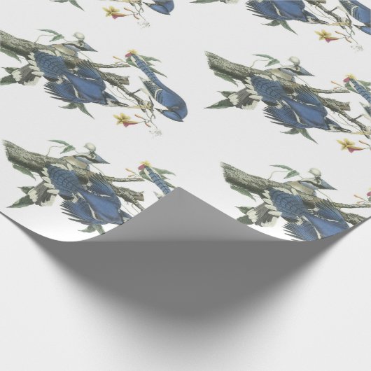 Blue Jay van Audubon Cadeaupapier (Hoek)