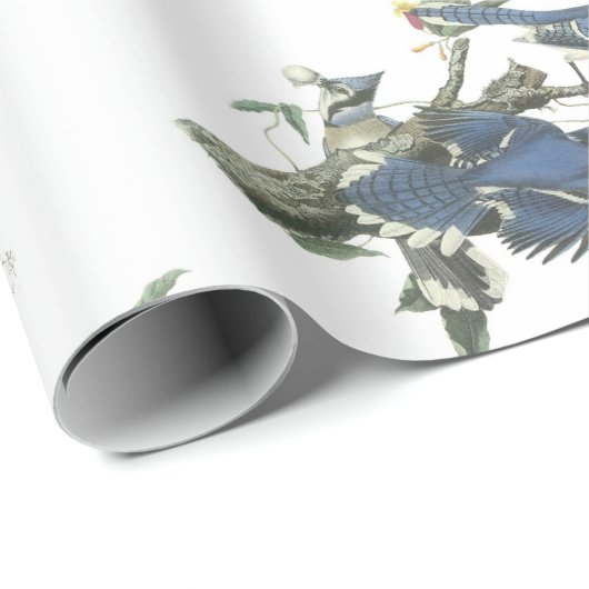 Blue Jay van Audubon Cadeaupapier (Rol Hoek)