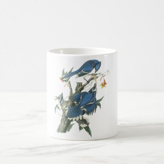 Blue Jay van Audubon Koffiemok (Center)