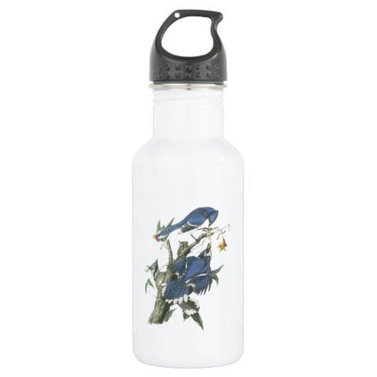 Blue Jay van Audubon Waterfles (Voorkant)