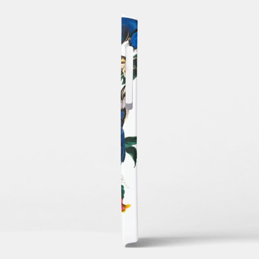 Blue Jay van John James Audubon Case-Mate iPhone Case (Achterkant / Links)