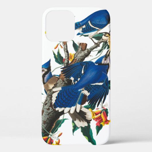 Blue Jay van John James Audubon Case-Mate iPhone Case (Achterkant)