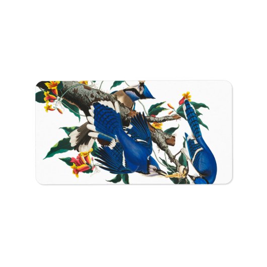 Blue Jay van John James Audubon Etiket (Voorkant)