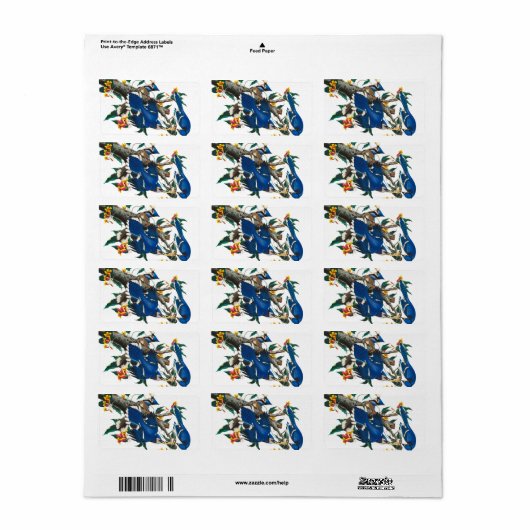 Blue Jay van John James Audubon Etiket (Full Sheet)
