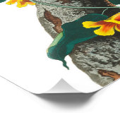 Blue Jay van John James Audubon Foto Afdruk (Hoek)