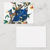 Blue Jay van John James Audubon Notitiekaartje (Voorkant / Achterkant)