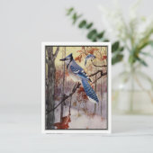  Blue Jay van Robert Bruce Horsfall Briefkaart (Staand voorkant)