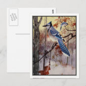  Blue Jay van Robert Bruce Horsfall Briefkaart (Voorkant / Achterkant)