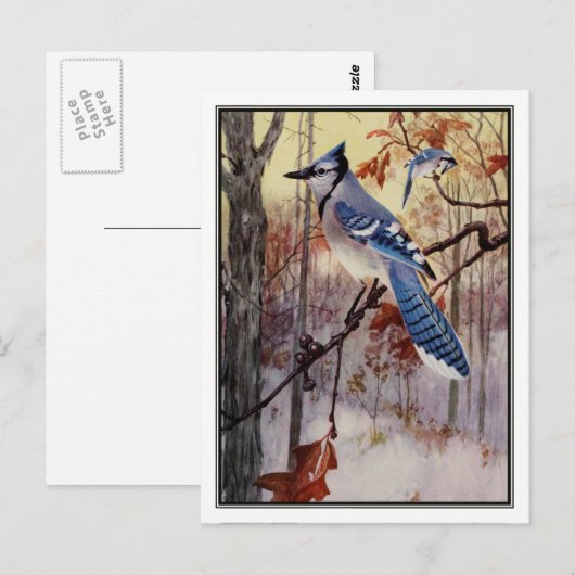 Blue Jay van Robert Bruce Horsfall Briefkaart (Voorkant / Achterkant)