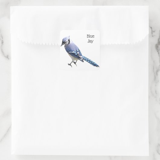 Blue Jay Vierkante Sticker (Tas)