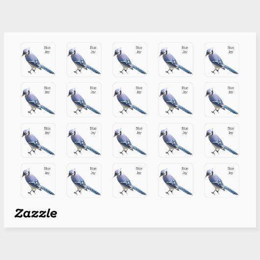 Blue Jay Vierkante Sticker (Vel)