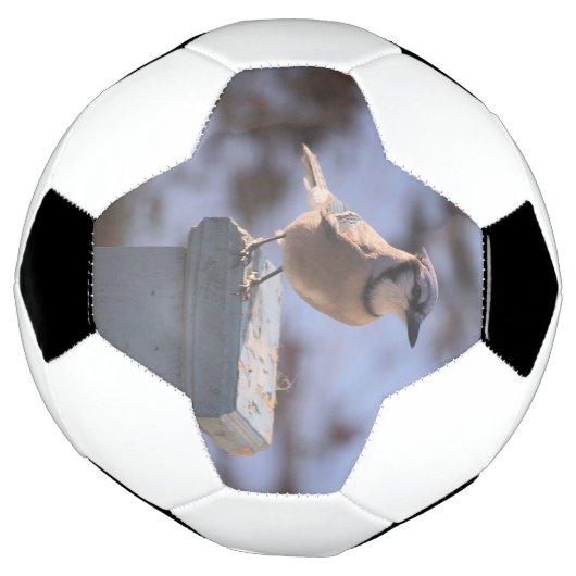 Blue Jay Voetbal (Gedraaid)
