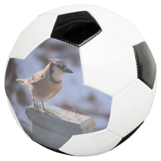 Blue Jay Voetbal (Drie kwart)