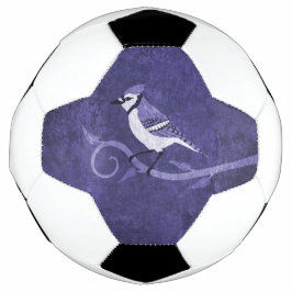 Blue Jay Voetbal