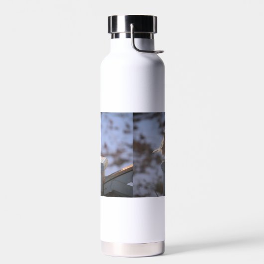 Blue Jay Waterfles (Links)