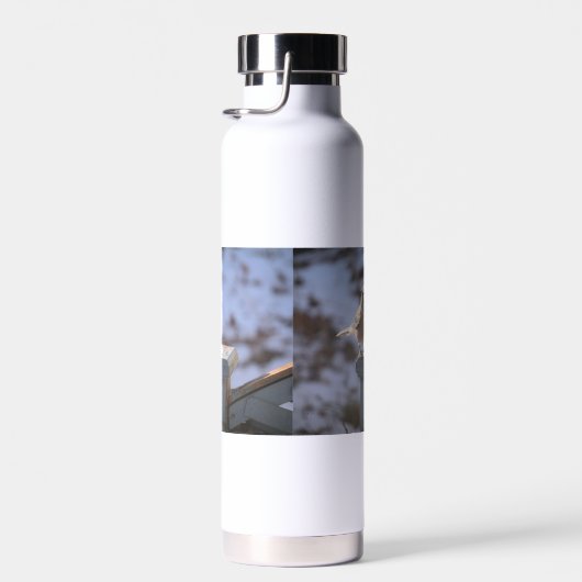 Blue Jay Waterfles (Rechts)